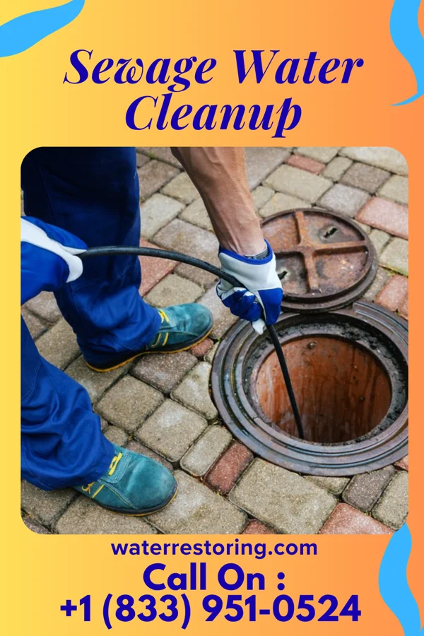 Sewage Water Cleanup in Gate, OK